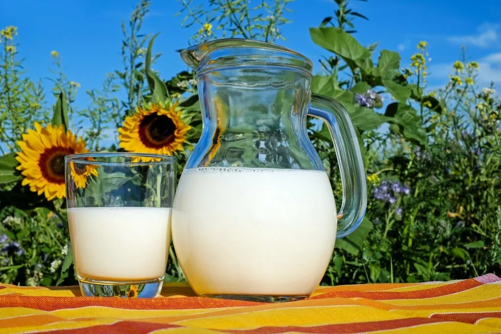 dairy for pcos women